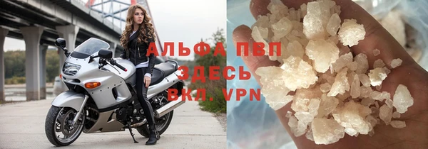 прущий лед Алзамай