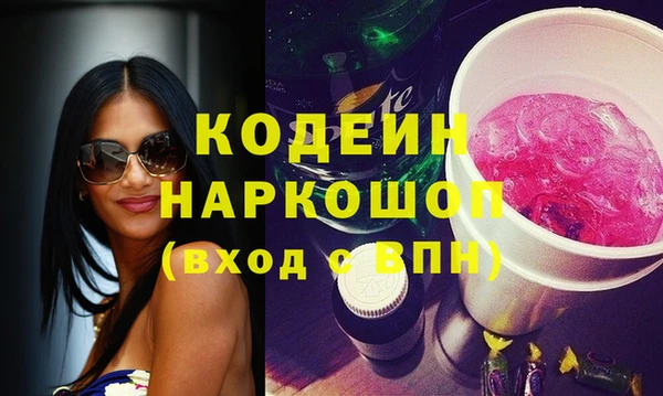 прущий лед Алзамай