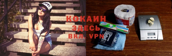 прущий лед Алзамай