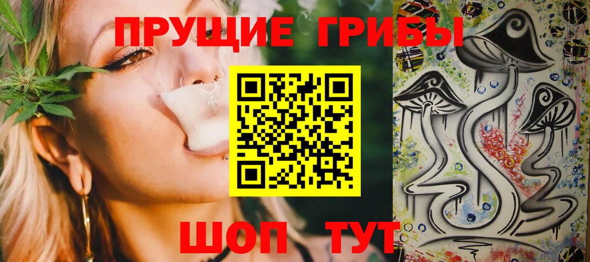 Псилоцибиновые грибы MAGIC MUSHROOMS  Вход с VPN  Тосно 