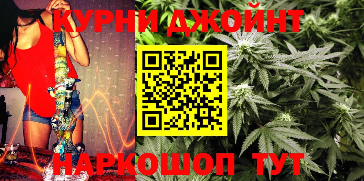 Канабис сатива Тосно